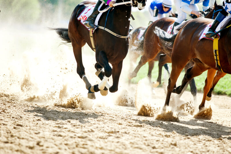 本気で学ぶブログ収益化講座 | 競馬ブログの作り方！楽しみながら収益化するコツを暴露します！！