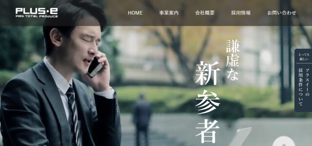 株式会社プラスイーの公式サイト